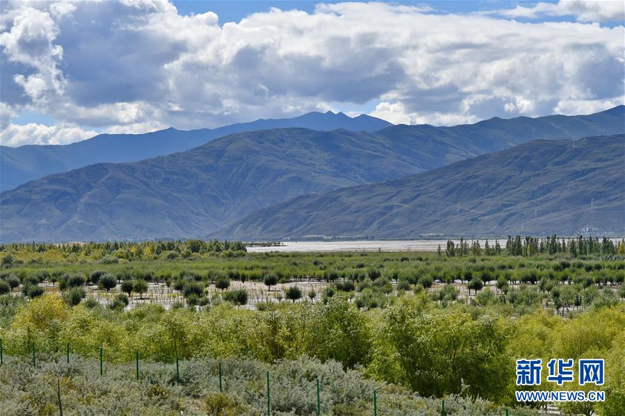 （圖文互動）（4）&ldquo;今天的生活，就像夢里夢到那樣甜&rdquo;&mdash;&mdash;寫在西藏百萬農奴解放61周年之際