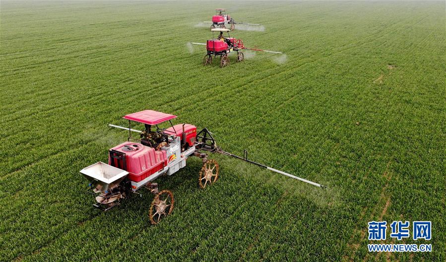 （新華全媒頭條&middot;圖文互動）（3）春天，匯聚復蘇的力量&mdash;&mdash;寫在2020年首季中國經(jīng)濟收官之際