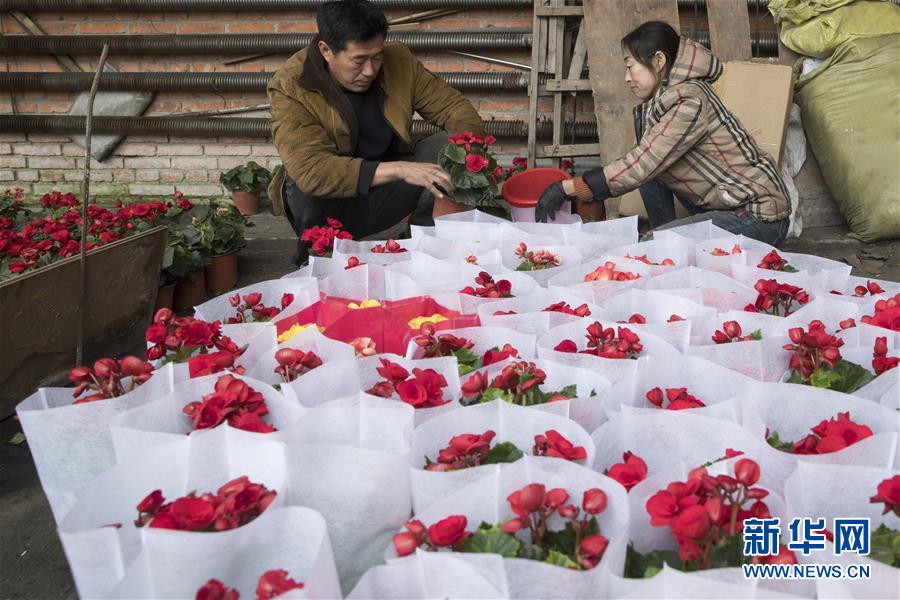 （在習(xí)近平新時(shí)代中國(guó)特色社會(huì)主義思想指引下&mdash;&mdash;新時(shí)代新作為新篇章&middot;習(xí)近平總書記關(guān)切事&middot;圖文互動(dòng)）（1）希望的田野，希望的春天&mdash;&mdash;各地農(nóng)業(yè)生產(chǎn)新動(dòng)態(tài)掃描