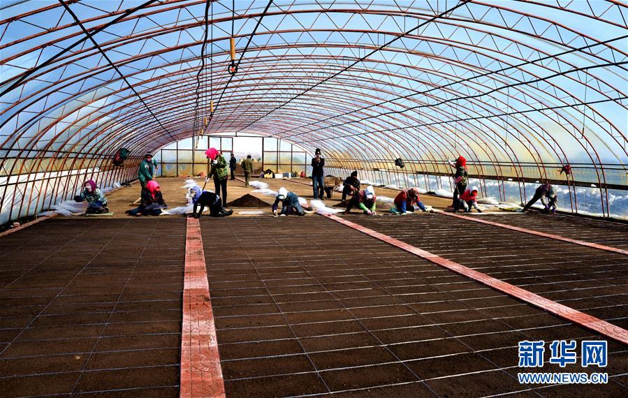 （在習(xí)近平新時(shí)代中國(guó)特色社會(huì)主義思想指引下&mdash;&mdash;新時(shí)代新作為新篇章&middot;習(xí)近平總書記關(guān)切事&middot;圖文互動(dòng)）（5）希望的田野，希望的春天&mdash;&mdash;各地農(nóng)業(yè)生產(chǎn)新動(dòng)態(tài)掃描