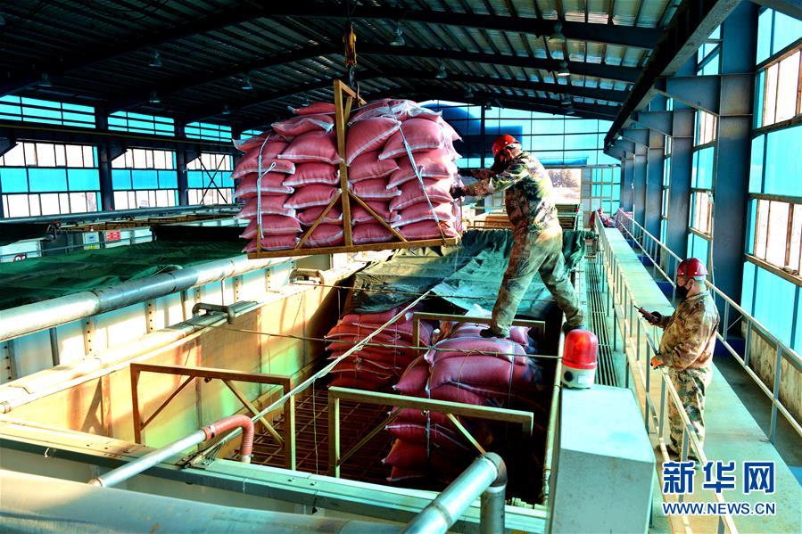 （在習(xí)近平新時(shí)代中國(guó)特色社會(huì)主義思想指引下&mdash;&mdash;新時(shí)代新作為新篇章&middot;習(xí)近平總書記關(guān)切事&middot;圖文互動(dòng)）（6）希望的田野，希望的春天&mdash;&mdash;各地農(nóng)業(yè)生產(chǎn)新動(dòng)態(tài)掃描