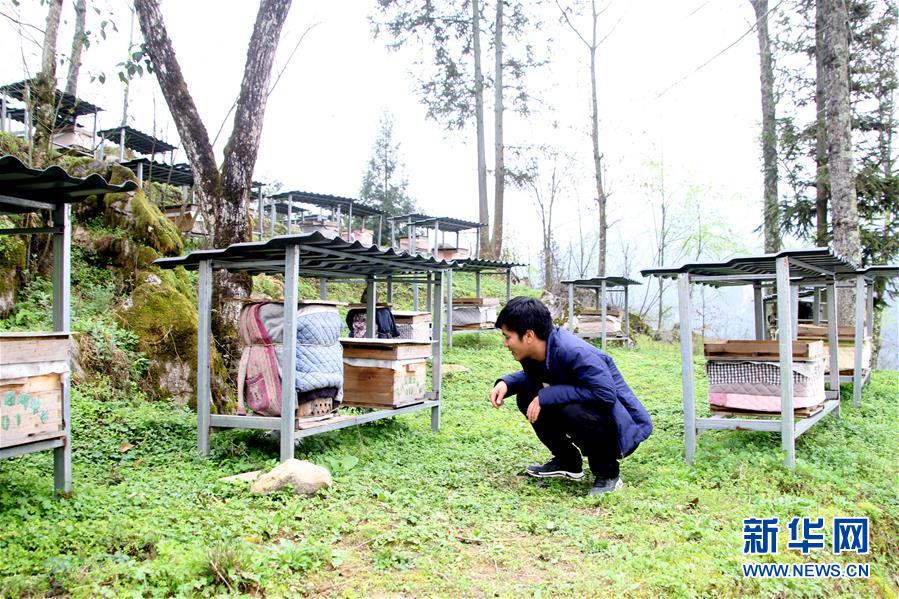 （決戰(zhàn)決勝脫貧攻堅&middot;圖文互動）（3）寄相思，償夙愿&mdash;&mdash;5封清明&ldquo;家書&rdquo;里的決戰(zhàn)決勝信念