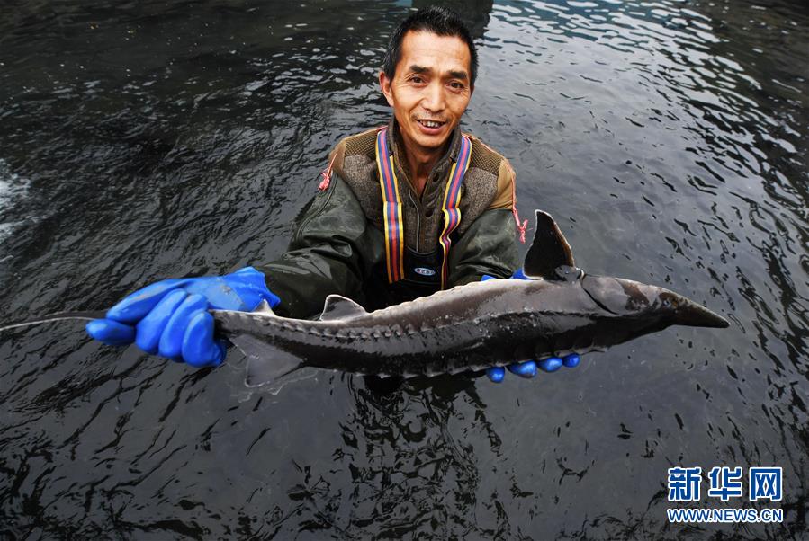 (決戰(zhàn)決勝脫貧攻堅·圖文互動)(4)多重保障 不漏一人——貴州一個脫貧“摘帽”縣的防貧機制探索