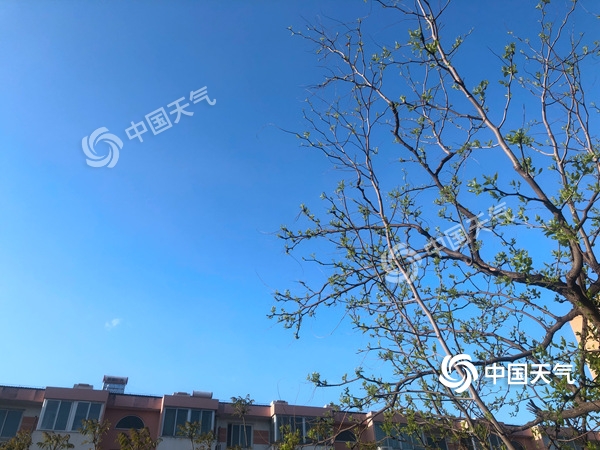 陣風8級！北京遭遇雨后大降溫 北風勁吹需添衣