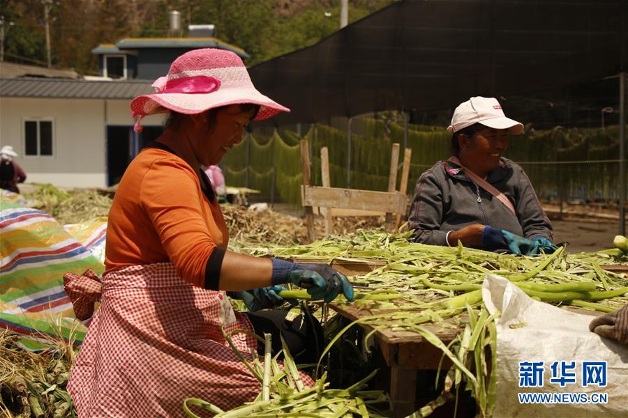 （在習(xí)近平新時代中國特色社會主義思想指引下&mdash;&mdash;新時代新作為新篇章&middot;習(xí)近平總書記關(guān)切事&middot;圖文互動）（4）啃下最后的硬骨頭&mdash;&mdash;脫貧攻堅掛牌督戰(zhàn)進(jìn)行時