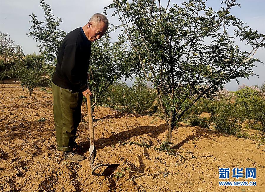 （新華全媒頭條&middot;圖文互動）（4）春天里的5個&ldquo;戰(zhàn)貧&rdquo;瞬間&mdash;&mdash;習(xí)近平總書記關(guān)于脫貧攻堅(jiān)決策部署指引攻克最后的深貧堡壘