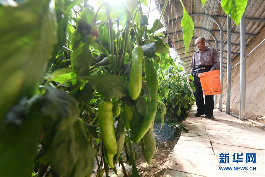 （新華全媒頭條&middot;圖文互動）（15）春天里的5個&ldquo;戰(zhàn)貧&rdquo;瞬間&mdash;&mdash;習(xí)近平總書記關(guān)于脫貧攻堅(jiān)決策部署指引攻克最后的深貧堡壘