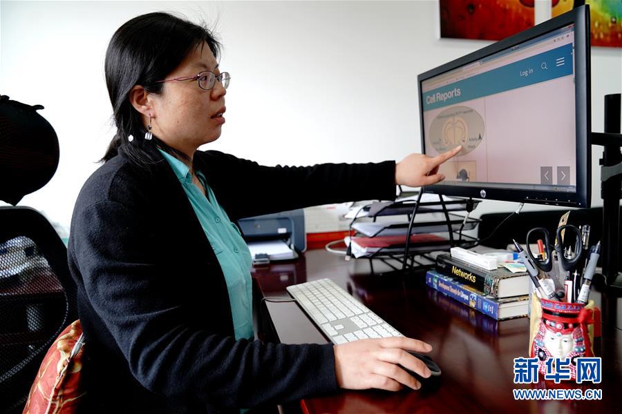 （圖文互動）（1）攻擊行為如何被大腦控制？科學(xué)家在小鼠大腦中發(fā)現(xiàn)&ldquo;調(diào)節(jié)開關(guān)&rdquo;