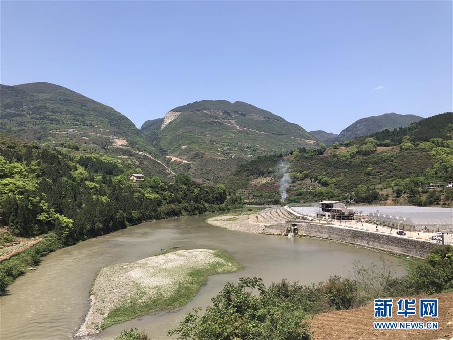 （決戰(zhàn)決勝脫貧攻堅&middot;圖文互動）（1）野奶角又見春天