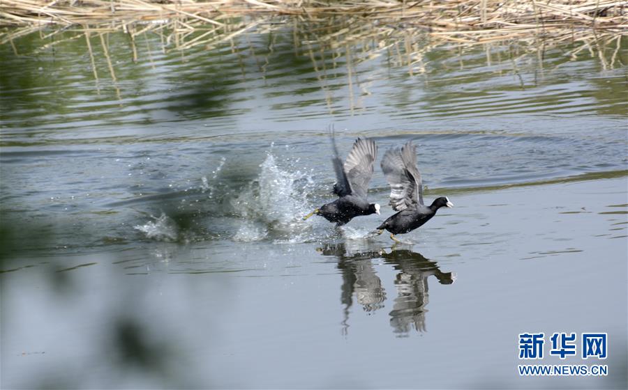 (社會(huì))(2)北京世園公園正式掛牌