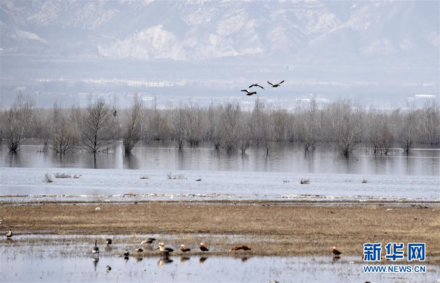 （圖文互動(dòng)）（3）這座小城，鐫刻下怎樣的&ldquo;世園印記&rdquo;&mdash;&mdash;北京世園會(huì)開園一周年探訪延慶