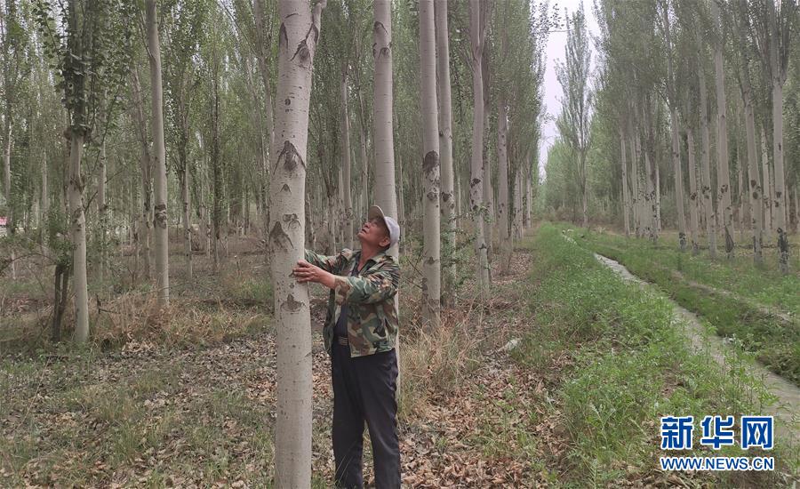 （圖文互動(dòng)）（4）記者手記：向&ldquo;看不見&rdquo;的勞動(dòng)者和他們的夢想致敬