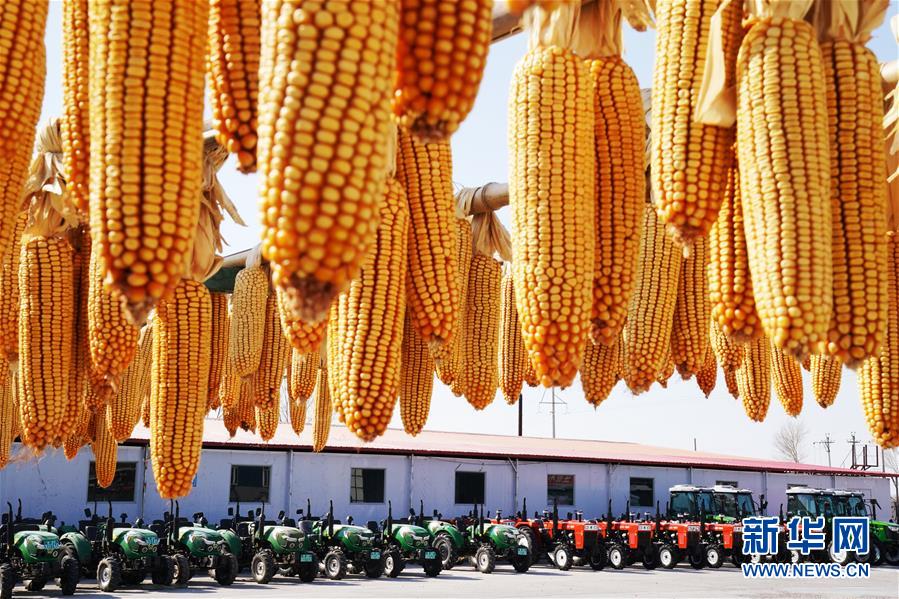 （新華全媒頭條&middot;圖文互動(dòng)）（5）讓中國(guó)飯碗端得更牢&mdash;&mdash;&ldquo;中華糧倉(cāng)&rdquo;春耕剪影