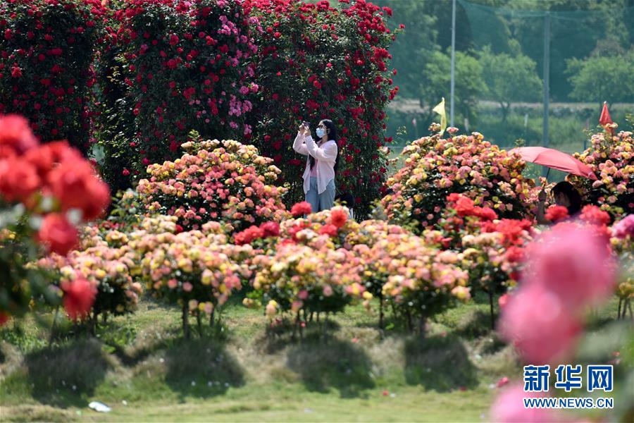 #(社會)(11)樂享“五一”假期