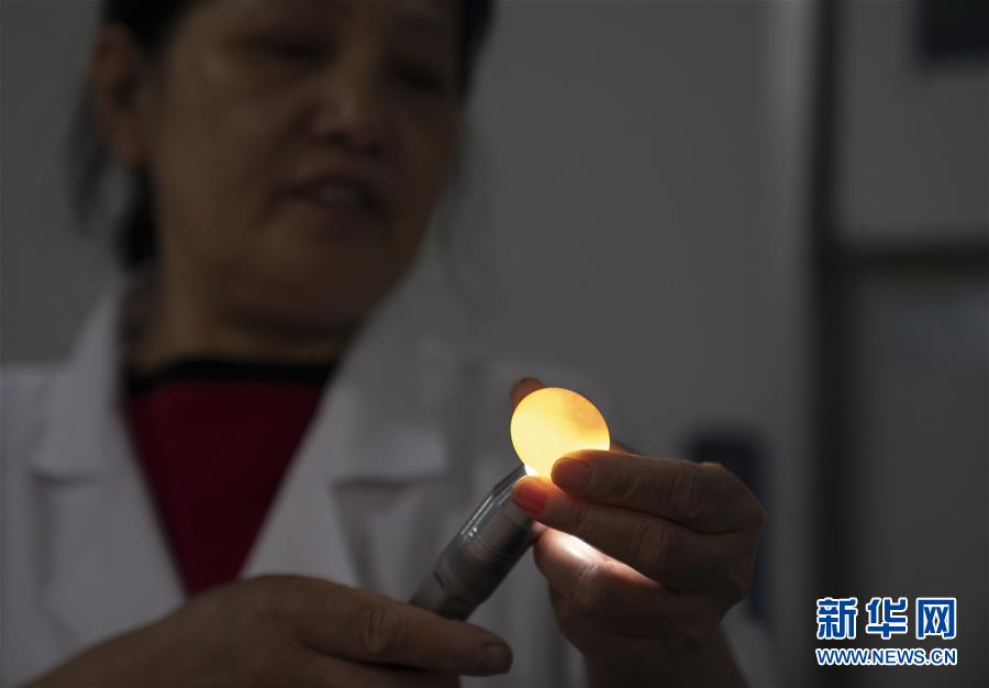 （決戰(zhàn)決勝脫貧攻堅(jiān)&middot;圖文互動(dòng)）（2）小鴿子帶來大希望&mdash;&mdash;河北阜平硒鴿產(chǎn)業(yè)&ldquo;飛翔&rdquo;記