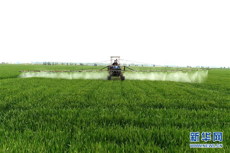 （在習近平新時代中國特色社會主義思想指引下&mdash;&mdash;新時代新作為新篇章&middot;習近平總書記關切事&middot;圖文互動）（10）新農事、新希望&mdash;&mdash;夏收前田間新動態(tài)掃描