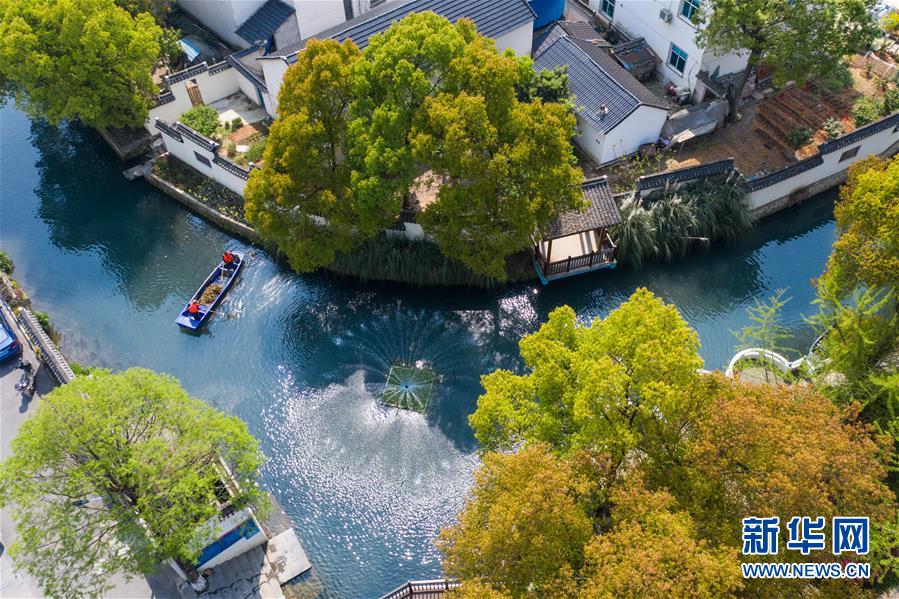 （新華全媒頭條&middot;圖文互動）（6）從&ldquo;藍(lán)圖規(guī)劃&rdquo;到美麗&ldquo;現(xiàn)實畫卷&rdquo;&mdash;&mdash;長三角一體化高質(zhì)量發(fā)展一年間