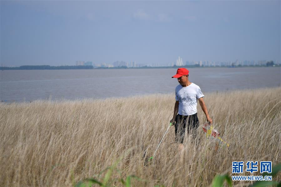（新華全媒頭條&middot;圖文互動(dòng)）（7）大湖新歌&mdash;&mdash;我國兩大淡水湖全面生態(tài)修復(fù)進(jìn)行時(shí)