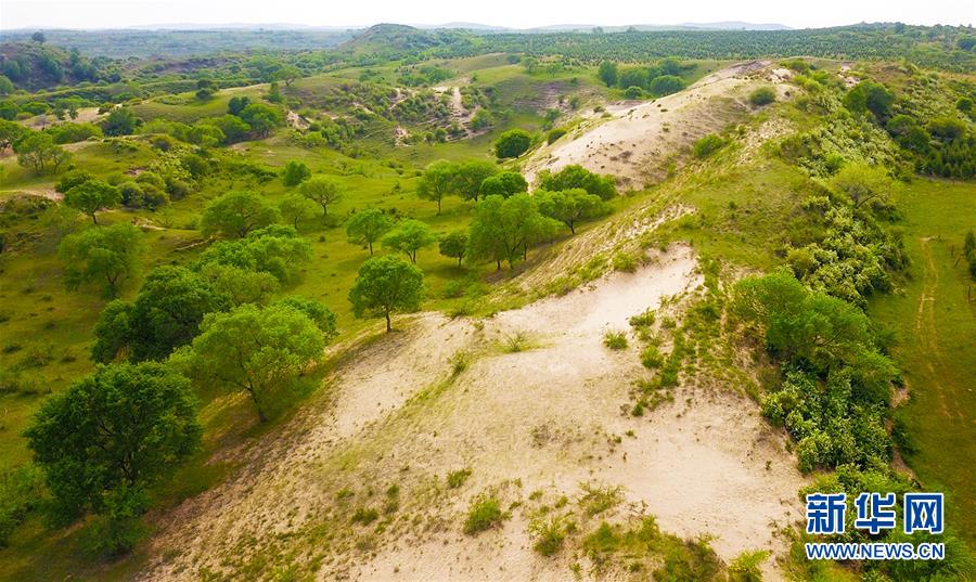 （新華全媒頭條&middot;圖文互動(dòng)）（7）京津最近&ldquo;大沙盆&rdquo;逆轉(zhuǎn)記