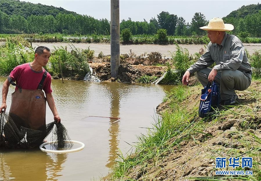 （決戰(zhàn)決勝脫貧攻堅(jiān)&middot;圖文互動）（3）駐村第一書記當(dāng)起&ldquo;蝦農(nóng)&rdquo;&ldquo;牛倌&rdquo;