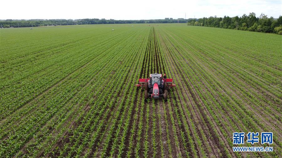 （在習(xí)近平新時(shí)代中國(guó)特色社會(huì)主義思想指引下&mdash;&mdash;新時(shí)代新作為新篇章&middot;習(xí)近平總書記關(guān)切事&middot;圖文互動(dòng)）（5）讓每一寸耕地都成為豐收的沃土&mdash;&mdash;我國(guó)加強(qiáng)耕地保護(hù)推進(jìn)&ldquo;藏糧于地&rdquo;
