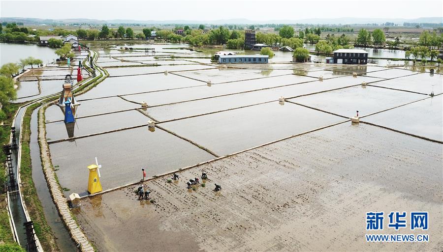 （在習(xí)近平新時(shí)代中國特色社會(huì)主義思想指引下&mdash;&mdash;新時(shí)代新作為新篇章&middot;習(xí)近平總書記關(guān)切事&middot;圖文互動(dòng)）（1）讓每一寸耕地都成為豐收的沃土&mdash;&mdash;我國加強(qiáng)耕地保護(hù)推進(jìn)&ldquo;藏糧于地&rdquo;