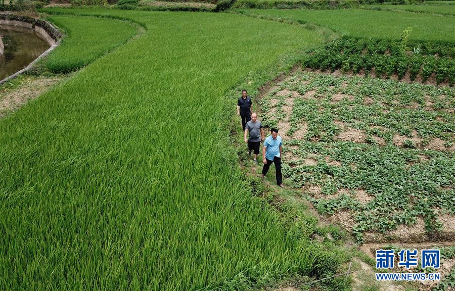 （圖文互動）（6）湘南深山，堅(jiān)守扶貧一線的黨員之家