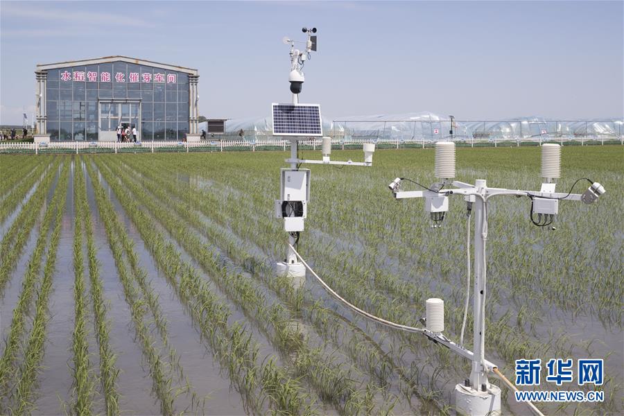 （走向我們的小康生活&middot;圖文互動）（4）端牢&ldquo;中國飯碗&rdquo; 播種綠色小康