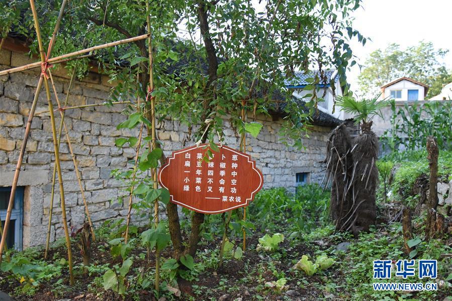 （鄉(xiāng)村振興&middot;圖文互動(dòng)）（6）海壩成&ldquo;畫&rdquo;