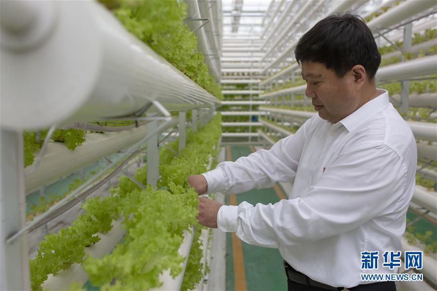 （新華全媒頭條&middot;圖文互動）（1）十任&ldquo;支書&rdquo;一個(gè)夢