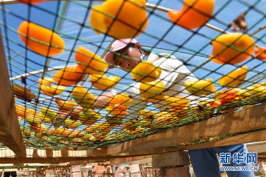 （決戰(zhàn)決勝脫貧攻堅(jiān)&middot;圖文互動）（1）新疆&ldquo;杏鄉(xiāng)&rdquo;：杏果飄香 走出深閨助脫貧