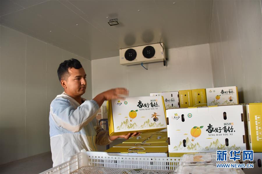 （決戰(zhàn)決勝脫貧攻堅(jiān)&middot;圖文互動）（6）新疆&ldquo;杏鄉(xiāng)&rdquo;：杏果飄香 走出深閨助脫貧