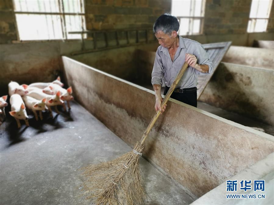 （走向我們的小康生活&middot;圖文互動）（2）長沙：以&ldquo;繡花功&rdquo;精準攻破&ldquo;插花貧&rdquo;