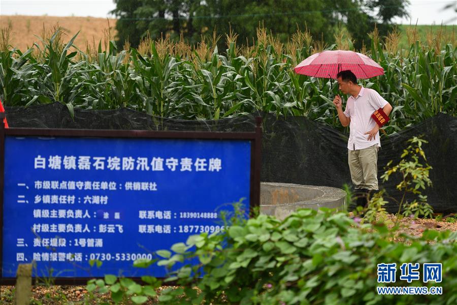 （防汛抗洪&middot;圖文互動(dòng)）（1）&ldquo;險(xiǎn)情不可怕，可怕的是不能及時(shí)發(fā)現(xiàn)險(xiǎn)情&rdquo;&mdash;&mdash;洞庭湖巡堤查險(xiǎn)現(xiàn)場(chǎng)直擊