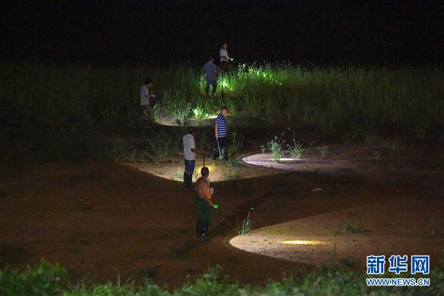 （防汛抗洪&middot;圖文互動(dòng)）（1）&ldquo;三湖&rdquo;超警汛情急 干群奮力保家園