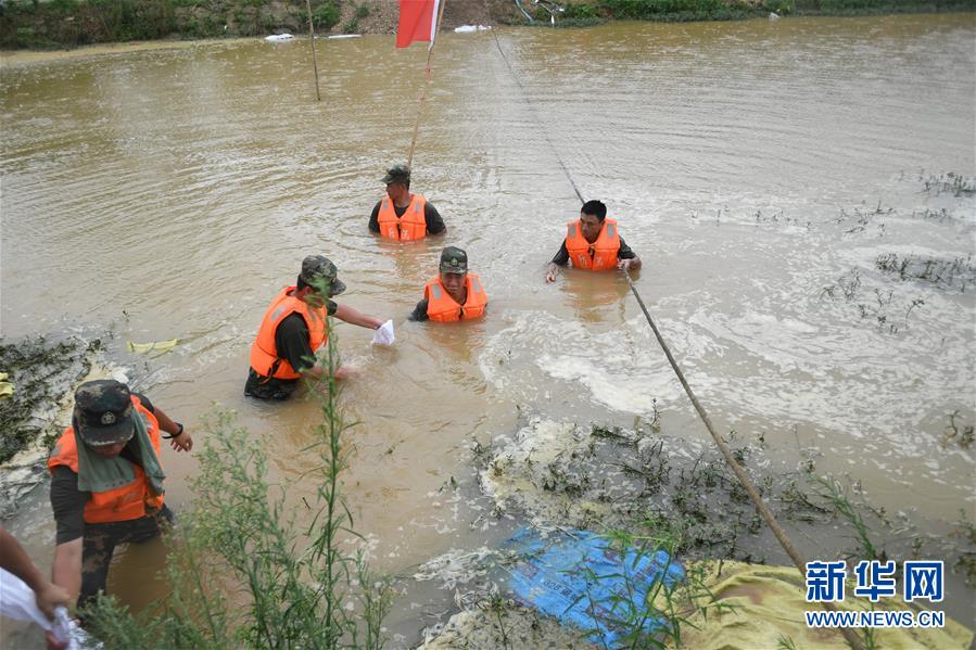 （防汛抗洪&middot;圖文互動(dòng)）（1）&ldquo;大堤上有了&lsquo;導(dǎo)彈綠&rsquo;，我們老百姓安了心&rdquo;