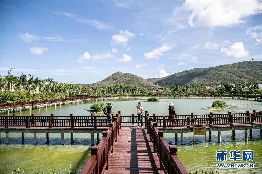 （新華全媒頭條&middot;走向我們的小康生活&middot;圖文互動）（6）留住鄉(xiāng)愁留住美&mdash;&mdash;千村競秀綴瓊州
