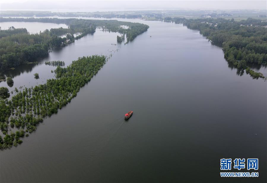 （防汛抗洪）（3）七旬擺渡人&ldquo;重出江湖&rdquo;：我為抗洪出份力