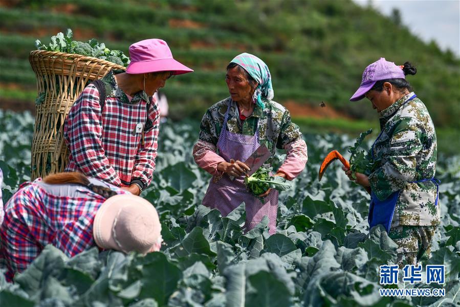 （新華全媒頭條&middot;走向我們的小康生活&middot;圖文互動）（10）三幅&ldquo;圖鑒&rdquo;說變遷&mdash;&mdash;貴州&ldquo;穿越時空&rdquo;的脫貧印記