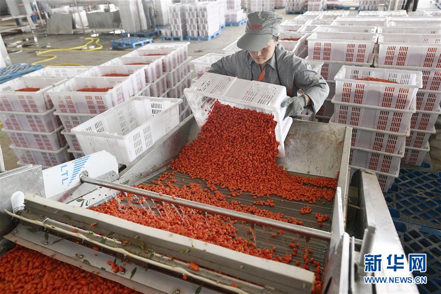 (走向我們的小康生活·圖文互動(dòng))(1)西海固換了新模樣