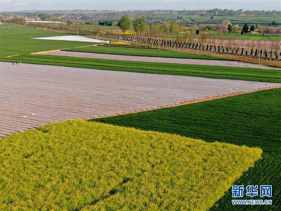 （在習(xí)近平新時代中國特色社會主義思想指引下&mdash;&mdash;新時代新作為新篇章&middot;習(xí)近平總書記關(guān)切事&middot;圖文互動）（7）食為政首&mdash;&mdash;穩(wěn)住農(nóng)業(yè)基本盤增添發(fā)展底氣