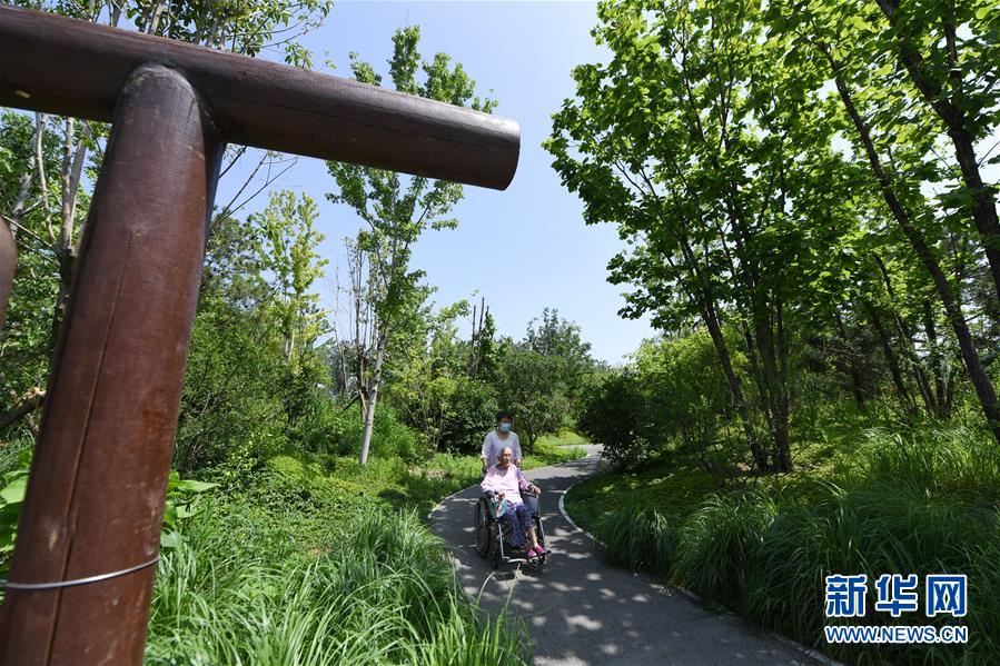 （新華全媒頭條&middot;圖文互動(dòng)）（4）老胡同里的新生活&mdash;&mdash;北京老城探訪記