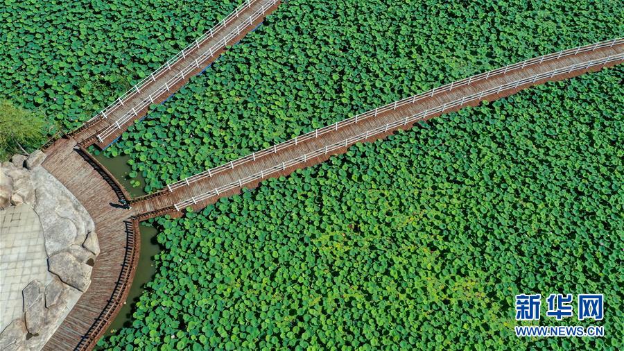 （在習近平新時代中國特色社會主義思想指引下&mdash;&mdash;新時代新作為新篇章&middot;習近平總書記關(guān)切事&middot;圖文互動）（9）綠色映底蘊，山水見初心&mdash;&mdash;生態(tài)優(yōu)先、綠色發(fā)展持續(xù)造福群眾美好生活