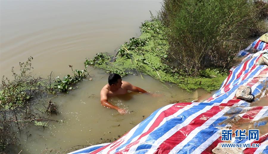 (新華全媒頭條·圖文互動)(2)筑起共御水患的鋼鐵長堤——戰(zhàn)洪一線的“干群關系新答卷”