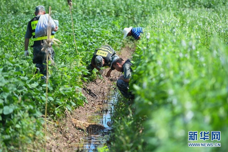 (新華全媒頭條·圖文互動)(10)筑起共御水患的鋼鐵長堤——戰(zhàn)洪一線的“干群關系新答卷”