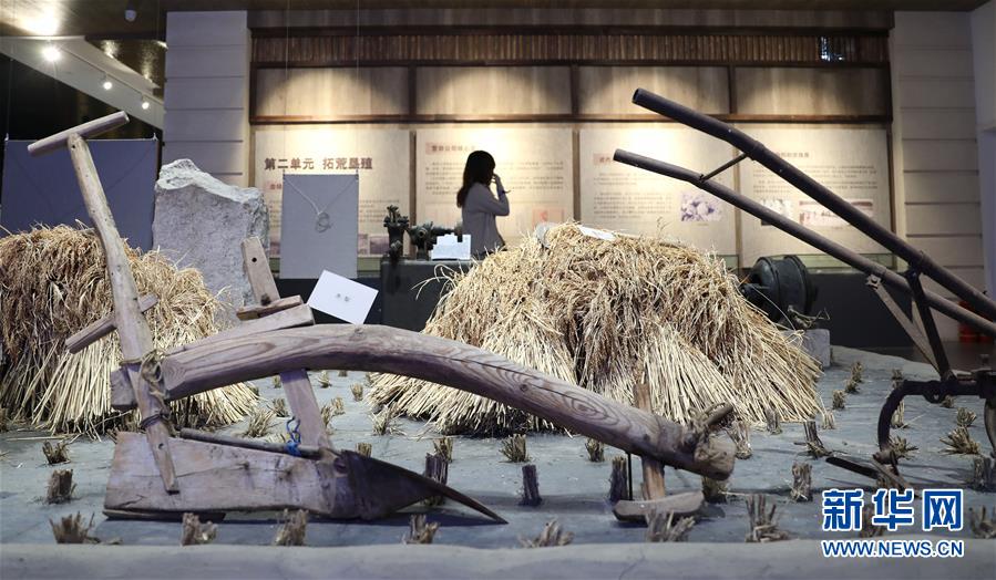 （新華全媒頭條&middot;走向我們的小康生活&middot;圖文互動(dòng)）（10）&ldquo;南大荒&rdquo;變&ldquo;稻蟹鄉(xiāng)&rdquo;&mdash;&mdash;資源枯竭型城市盤錦的鄉(xiāng)村振興之路