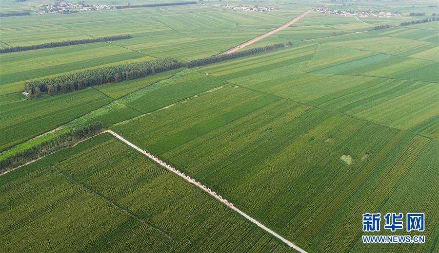 （在習(xí)近平新時(shí)代中國(guó)特色社會(huì)主義思想指引下&mdash;&mdash;新時(shí)代新作為新篇章&middot;習(xí)近平總書記關(guān)切事&middot;圖文互動(dòng)）（2）為黑土加&ldquo;油&rdquo;&mdash;&mdash;&ldquo;耕地中的大熊貓&rdquo;，我們這樣保護(hù)