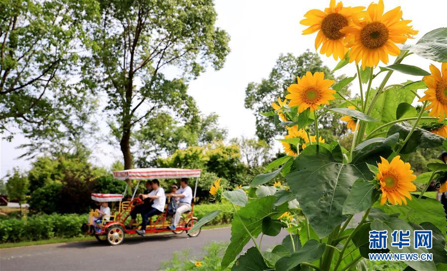 （新華全媒頭條&middot;走向我們的小康生活&middot;圖文互動(dòng)）（13）城市，讓人民生活更美好