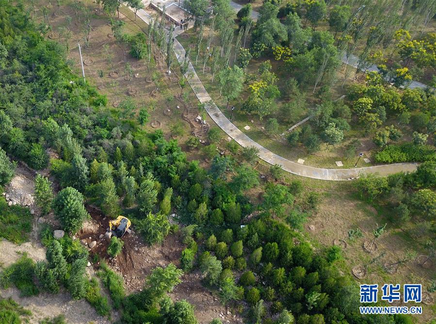 （新華全媒頭條&middot;圖文互動）（15）扎實推進籌辦，不負(fù)青春韶華&mdash;&mdash;北京冬奧會籌辦備戰(zhàn)克服疫情影響平穩(wěn)推進