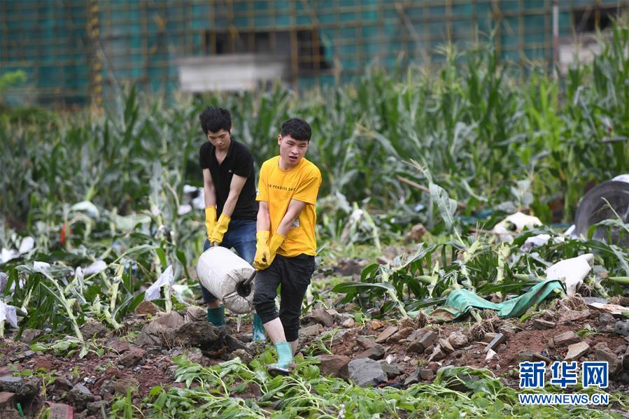 (新華全媒頭條·圖文互動(dòng))(4)立皖安瀾——安徽決戰(zhàn)一江一河一湖抗洪紀(jì)實(shí)